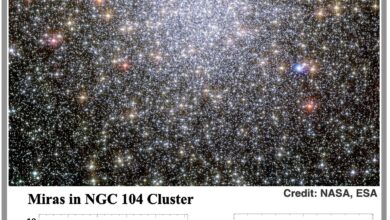 शानदार और आकर्षक मीरा तारे ब्रह्मांड के विस्तार की स्वतंत्र दर निर्धारित करने का आधार हैं