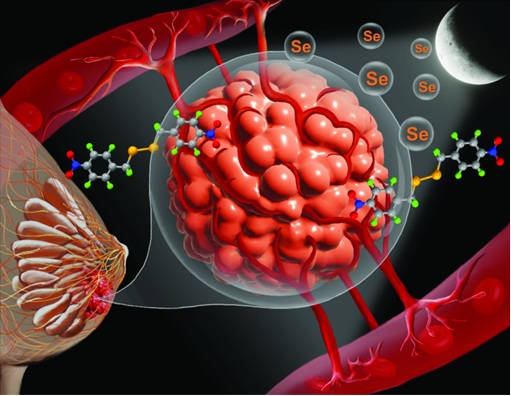 नया संश्लेषित कंपाउंड स्तन कैंसर का उपचार कर सकता है