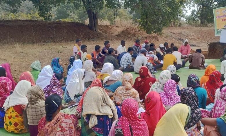 50 वर्षों बाद धमतरी के आदिवासी अंचल में रबी खेती की वापसी : 35 एकड़ में रागी उत्पादन से बदली खेती की तस्वीर…