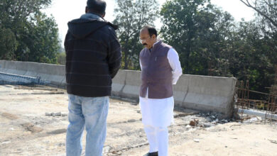 उप मुख्यमंत्री अरुण साव ने पुल निर्माण कार्य का किया औचक निरीक्षण….