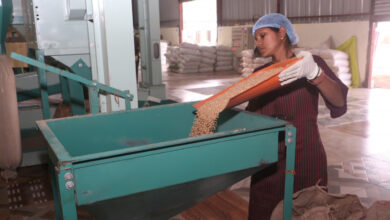 सशक्त मानसिकता से आत्मनिर्भरता की ओर- पोषण निर्माण में अहम भूमिका निभा रही हैं सूरजपुर की महिलाएं…..