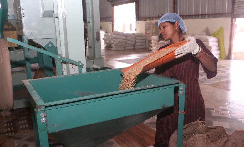 सशक्त मानसिकता से आत्मनिर्भरता की ओर- पोषण निर्माण में अहम भूमिका निभा रही हैं सूरजपुर की महिलाएं…..