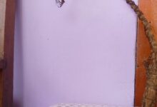 पहाड़ों में बर्मा के बिना अधूरा माना जाता है शुभ कार्य, जानें 108 तिनकों से बने देवताओं के इस पवित्र आसन का रहस्य पहाड़ों में बर्मा के बिना अधूरा माना जाता है शुभ कार्य, जानें 108 तिनकों से बने देवताओं के इस पवित्र आसन का रहस्य