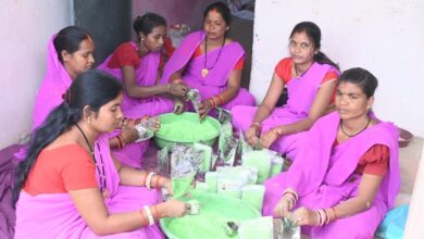 इस बार प्राकृतिक रंगों से रंगीन होगी होली : स्व सहायता समूह की महिलाएं कर रही है प्राकृतिक गुलाल का निर्माण….