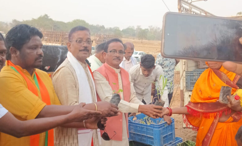 मुख्यमंत्री साय के जन्मदिवस पर पादप बोर्ड द्वारा 2100 औषधीय पौधों का वितरण….