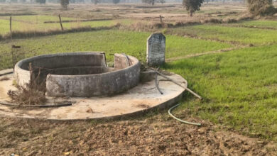 जल संरक्षण से आत्मनिर्भर किसान, चिड़ौला में शक्तिगत कूप बना ग्रामीण समृद्धि की मिसाल…. जल संरक्षण से आत्मनिर्भर किसान, चिड़ौला में शक्तिगत कूप बना ग्रामीण समृद्धि की मिसाल….