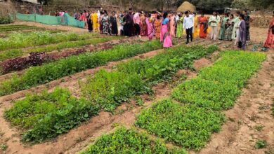 बस्तर के नवाचार देख उत्साहित हुईं बिलासपुर की दीदियाँ, एक्सपोजर विजिट में सीखीं इंटीग्रेटेड फार्मिंग की बारीकियां….
