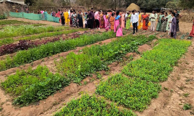 बस्तर के नवाचार देख उत्साहित हुईं बिलासपुर की दीदियाँ, एक्सपोजर विजिट में सीखीं इंटीग्रेटेड फार्मिंग की बारीकियां….