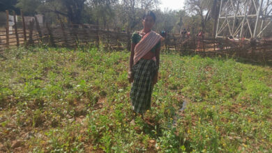 महतारी वंदन योजना से बदली जिंदगी की तस्वीर : श्रीमती सुखी पुनेम बनीं आत्मनिर्भरता और पोषण की मिसाल….