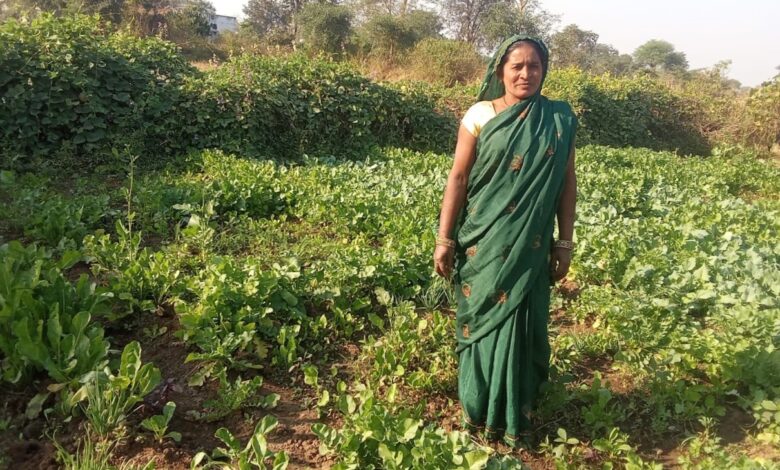 मुख्यमंत्री विष्णु देव साय के सुशासन में महिलाओं को मिला आत्मनिर्भरता का संबल, बालोद की रोहनी बनीं उद्यमिता की मिसाल….
