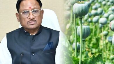 अफीम की अवैध खेती पर मुख्यमंत्री विष्णु देव साय का कड़ा रुख, सभी कलेक्टरों को सर्वे कर 15 दिवस में प्रमाण पत्र सहित रिपोर्ट देने के निर्देश….