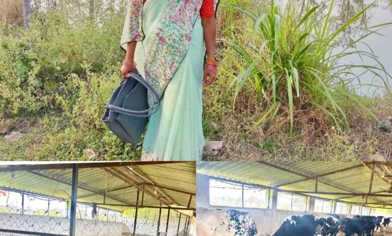 मछली पालन से बदली लक्ष्मी की जिंदगी, सढ़ौली की लक्ष्मी ठाकुर बनी आर्थिक सशक्तिकरण की मिसाल…. मछली पालन से बदली लक्ष्मी की जिंदगी, सढ़ौली की लक्ष्मी ठाकुर बनी आर्थिक सशक्तिकरण की मिसाल….