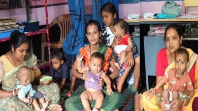 प्रधानमंत्री मातृ वंदना योजना से मातृ स्वास्थ्य को मिला संबल, महासमुंद जिले की हजारों माताएं हो रहीं लाभान्वित….