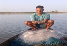 स्वतंत्रता संग्राम सेनानी मछुआ सहकारी समिति के सदस्यों को मिला आजीविका का सहारा, 96 हेक्टेयर जलक्षेत्र में मछली पालन से कमा रहे 01 लाख 50 हजार रूपए…..