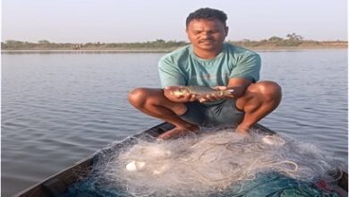 स्वतंत्रता संग्राम सेनानी मछुआ सहकारी समिति के सदस्यों को मिला आजीविका का सहारा, 96 हेक्टेयर जलक्षेत्र में मछली पालन से कमा रहे 01 लाख 50 हजार रूपए….. स्वतंत्रता संग्राम सेनानी मछुआ सहकारी समिति के सदस्यों को मिला आजीविका का सहारा, 96 हेक्टेयर जलक्षेत्र में मछली पालन से कमा रहे 01 लाख 50 हजार रूपए…..