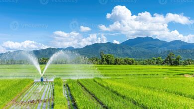 किकिरगेटा उद्वहन सिंचाई योजना हेतु 30.68 करोड़ की पुनरीक्षित स्वीकृति….