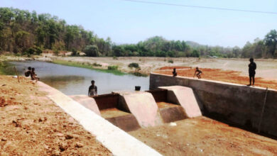 चेकडैम बना ग्रामीण आत्मनिर्भरता का मजबूत आधार, जल संरक्षण से बदली खेती की तस्वीर….