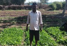 डबरी बनी स्थायी आजीविका का आधार : जल संरक्षण के साथ बढ़ी आय….