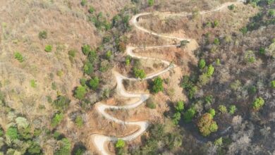 प्रधानमंत्री जनमन योजना से बदली सेजाडीह की तस्वीर, पहाड़ों के बीच बसे बैगा परिवारों तक पहली बार पहुंची पक्की सड़क….