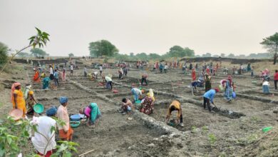 सर्वाधिक परिवारो को रोजगार, सर्वाधिक मानव दिवस का रोजगार सहित सर्वाधिक दिव्यांगजनों को रोजगार देने के मामले में कबीरधाम प्रदेश में प्रथम स्थान पर….