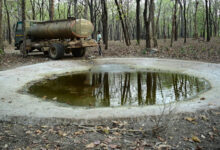 भीषण गर्मी में वन्यजीवों के लिए ‘संजीवनी’ बना बारनवापारा, जल प्रबंधन का ऐसा मॉडल जो पूरे देश के लिए बना मिसाल…..