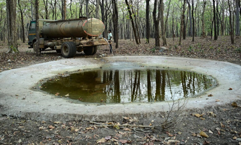 भीषण गर्मी में वन्यजीवों के लिए ‘संजीवनी’ बना बारनवापारा, जल प्रबंधन का ऐसा मॉडल जो पूरे देश के लिए बना मिसाल…..