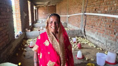 मजदूरी छोड़ ‘लखपति दीदी’ बनीं मति बाई, मुर्गी पालन से संवर रहा परिवार का भविष्य…..