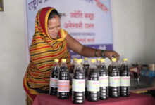 आत्मनिर्भरता की मिसाल: औराटोला बना बालोद का पहला लखपति दीदी ग्राम….