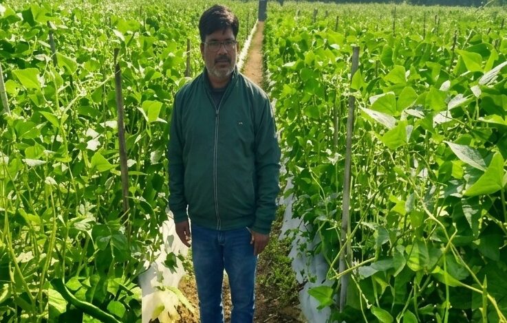 उद्यानिकी की आधुनिक तकनीकों से किसान महेश कश्यप की बदली तकदीर….