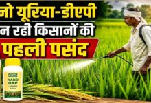 नैनो यूरिया और नैनो डीएपी से कम लागत में ज्यादा उत्पादन, नैनो उर्वरकों का संतुलित उपयोग मिट्टी में पोषक तत्वों को बनाए रखने में करता है मदद – किसान भूषण साहू…..