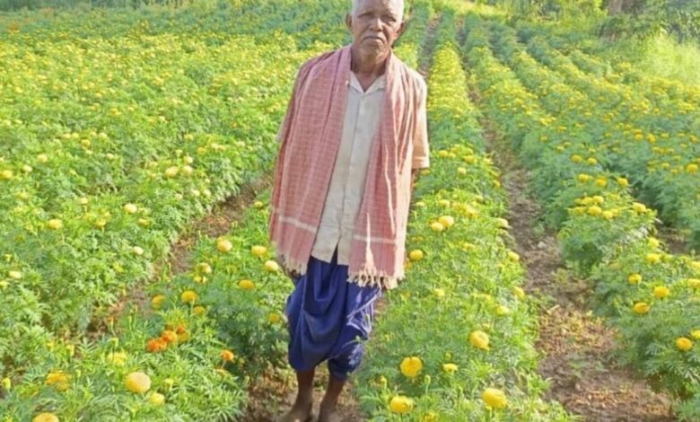 धान छोड़ फूलों की खेती ने बदली आनंदराम की तकदीर, 22 हजार के बदले कमाए 3 लाख रुपए, गेंदा उत्पादन से कोड़केल के किसान ने पेश की सफलता की मिसाल…..