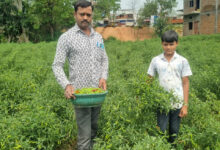 बिना केमिकल, बंपर मुनाफाः डोलनारायण की जैविक मिर्च ने बाजार में मचाई धूम….. बिना केमिकल, बंपर मुनाफाः डोलनारायण की जैविक मिर्च ने बाजार में मचाई धूम…..