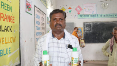 नैनो यूरिया से आसान हुई खेती, किसान गुलाबचंद राठौर को मिल रहे बेहतर परिणाम……