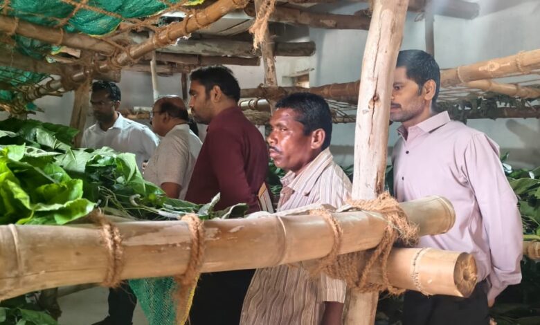 बस्तर संभाग में रेशम विकास कार्यों की समीक्षा…..