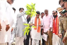 एक पेड़ मां के नाम” अभियान के तहत प्रभारी मंत्री टंकराम वर्मा ने किया पौधारोपण……