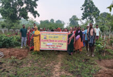जशपुर की सभी ग्राम पंचायतों में रोजगार दिवस का आयोजन, मनरेगा से रोजगार और विकास को मिली नई गति….