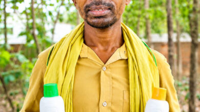 समृद्ध कृषि और सशक्त कृषक का आधार बना नैनो उर्वरक, आधुनिक कृषि तकनीकों से किसानों को मिल रहा लाभ, कम लागत में बढ़ रहा उत्पादन’….. समृद्ध कृषि और सशक्त कृषक का आधार बना नैनो उर्वरक, आधुनिक कृषि तकनीकों से किसानों को मिल रहा लाभ, कम लागत में बढ़ रहा उत्पादन’…..