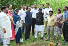पोटियाडीह में औषधीय खेती से स्व-सहायता समूह महिला सशक्तिकरण और आत्मनिर्भरता की नई मिसाल – मंत्री केदार कश्यप….