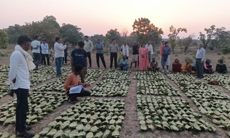 साय सरकार के सुशासन में तेन्दूपत्ता संग्राहकों को मिली आर्थिक मजबूती, 10,160 हितग्राहियों के खातों में पहुँची 1.39 करोड़ रुपये से अधिक की बोनस राशि…. साय सरकार के सुशासन में तेन्दूपत्ता संग्राहकों को मिली आर्थिक मजबूती, 10,160 हितग्राहियों के खातों में पहुँची 1.39 करोड़ रुपये से अधिक की बोनस राशि….