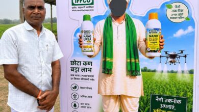 नैनो यूरिया से बढ़ा किसान रामदुलारी साहू का भरोसा, अब पांच एकड़ में करेंगे उपयोग, बेहतर परिणाम से उत्साहित किसान बोले- आधुनिक तकनीक से खेती बन रही अधिक लाभकारी….. नैनो यूरिया से बढ़ा किसान रामदुलारी साहू का भरोसा, अब पांच एकड़ में करेंगे उपयोग, बेहतर परिणाम से उत्साहित किसान बोले- आधुनिक तकनीक से खेती बन रही अधिक लाभकारी…..