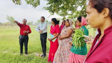 धमतरी मॉडल बना देश के लिए प्रेरणा, औषधीय खेती से महिलाओं की बदली तकदीर….