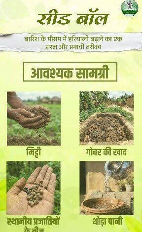 सीड बॉल अभियान- हरियाली बढ़ाने का सरल और प्रभावी माध्यम….