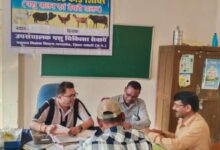 पशुपालन केसीसी से धमतरी के 93 पशुपालकों को मिली 98.62 लाख की वित्तीय संजीवनी,  ग्रामीण आजीविका को मिली नई उड़ान…..