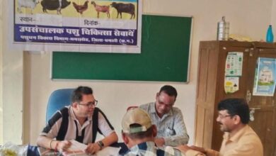 पशुपालन केसीसी से धमतरी के 93 पशुपालकों को मिली 98.62 लाख की वित्तीय संजीवनी,  ग्रामीण आजीविका को मिली नई उड़ान…..