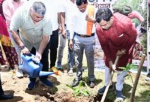 प्रभारी मंत्री राजेश अग्रवाल ने किया पौधरोपण, हरेली पर हरित जीपीएम का संकल्प…..