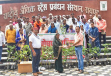 आईसीएआर-एनआईबीएसएम द्वारा ‘पोषण वाटिका’ पर प्रशिक्षण कार्यक्रम आयोजित, 62 किसान हुए लाभान्वित, जिनमें 10 महिला किसान भी शामिल….. आईसीएआर-एनआईबीएसएम द्वारा ‘पोषण वाटिका’ पर प्रशिक्षण कार्यक्रम आयोजित, 62 किसान हुए लाभान्वित, जिनमें 10 महिला किसान भी शामिल…..