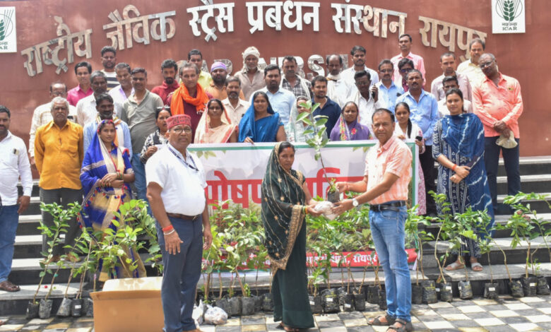 आईसीएआर-एनआईबीएसएम द्वारा ‘पोषण वाटिका’ पर प्रशिक्षण कार्यक्रम आयोजित, 62 किसान हुए लाभान्वित, जिनमें 10 महिला किसान भी शामिल…..