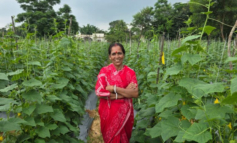 बिहान से बहनों को मिला आर्थिक संबल, खीरे की खेती से सुभद्रा मंडल ने लिखी आत्मनिर्भरता की नई कहानी…. बिहान से बहनों को मिला आर्थिक संबल, खीरे की खेती से सुभद्रा मंडल ने लिखी आत्मनिर्भरता की नई कहानी….