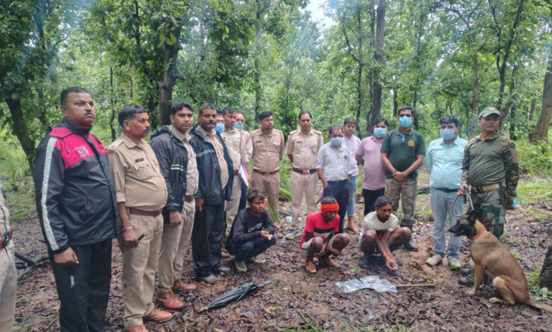 मृत भालू के नाखून काटकर ले जाने वाले दो आरोपी गिरफ्तार, डॉग स्क्वॉड की मदद से हुई पतासाजी, चार नाखून बरामद, वन्यजीव संरक्षण अधिनियम के तहत कार्रवाई…..