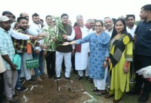 मोर गांव मोर पानी महाअभियान के तहत बृहद वृक्षारोपण कराया गया